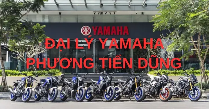 Đánh Giá Chi Tiết Cửa Hàng Yamaha 3s Phương Tiến Dũng Bình Định