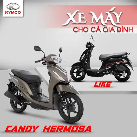 Top 5 Xe 50 Phân Khối Đẹp Và Bền Bỉ Nhất 2026: Đánh Giá Chi Tiết Từ A Đến Z