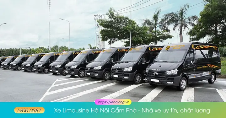 Nhà Xe Limousine Hà Nội Cẩm Phả
