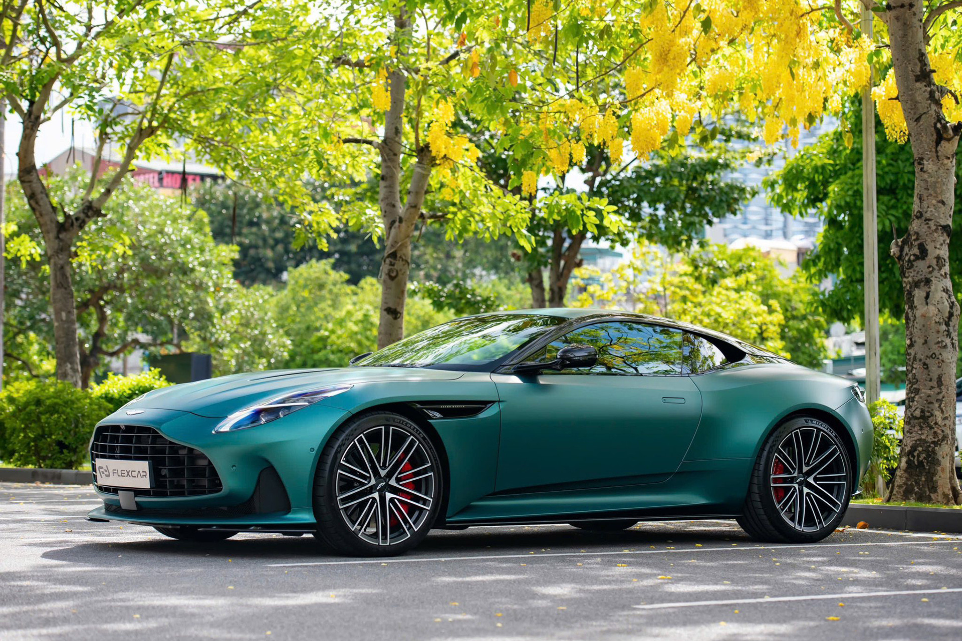 db12 12.jpg