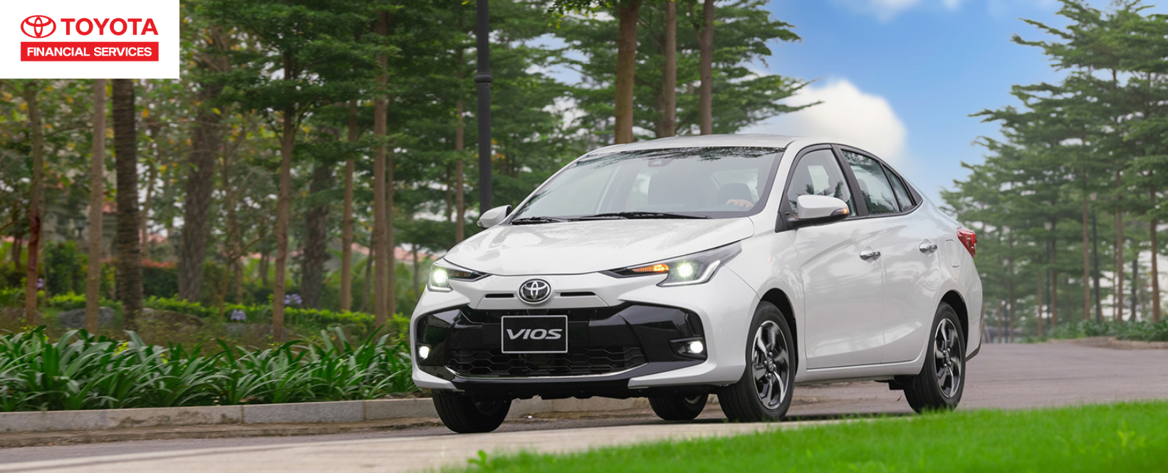 Tổng hợp các bằng lái ô tô thông dụng nhất tại Việt Nam