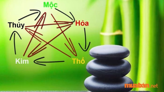 Trong phong thủy ngũ hành, con số 54 thuộc hành Mộc, có sự tương khắc với Thổ và tương sinh với Hỏa. Vì vậy, những người mệnh Mộc và Hỏa sẽ hợp với số này, trong khi người mệnh Thổ nên tránh sử dụng các vật phẩm liên quan đến con số 54.