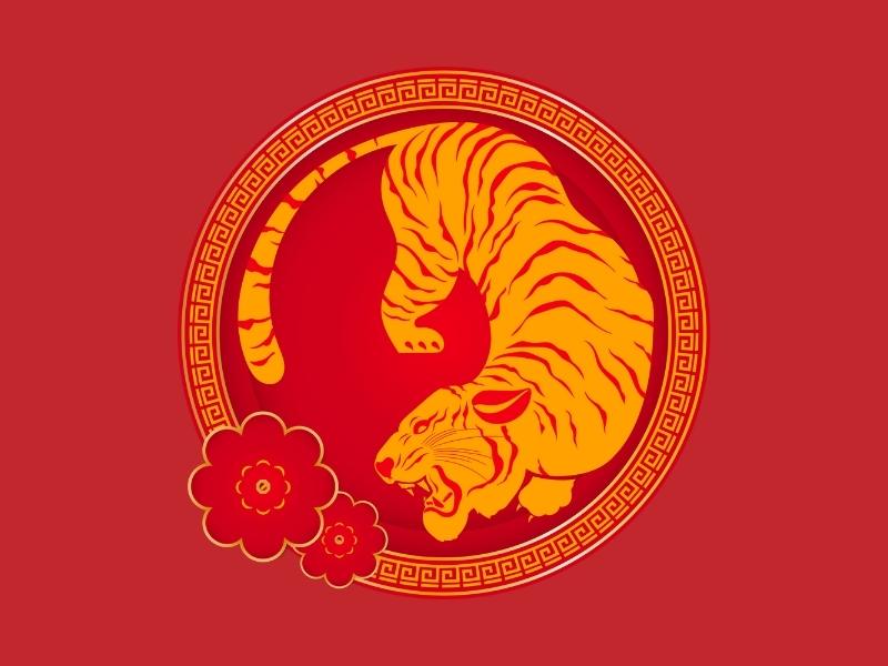 Tử vi nữ mạng 1986 Bính Dần theo Can chi, Ngũ hành năm 2023