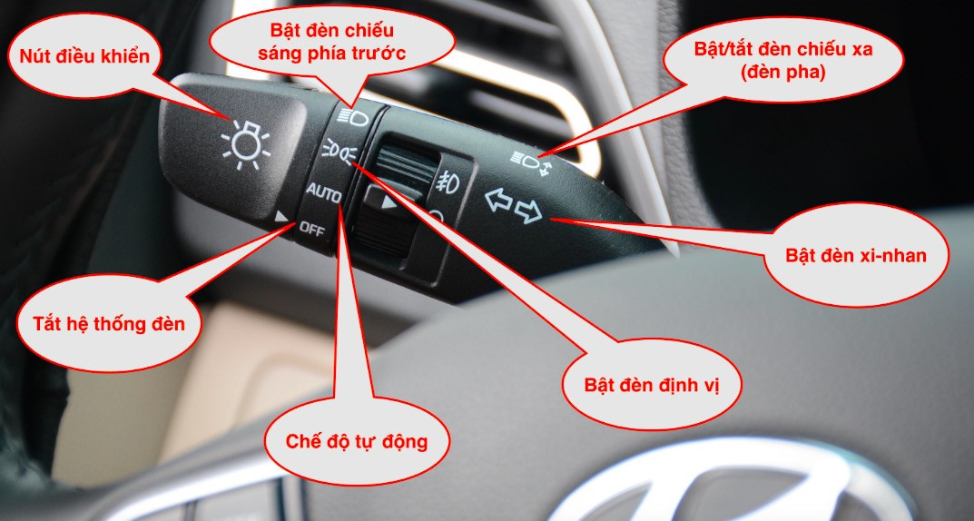 den oto thumb.webp