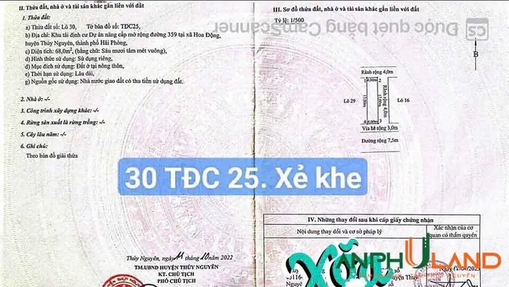 Cần Bán Xe Nâng Cây Kiểng Tại Nhà