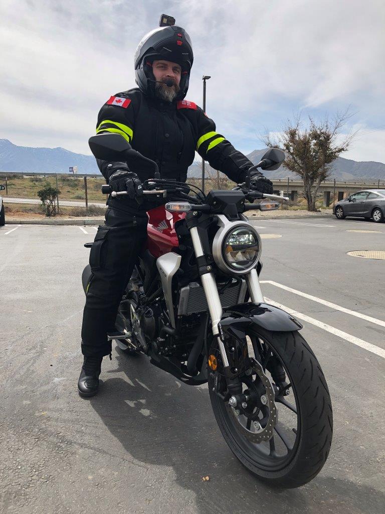 2019 Honda CB300R forks.