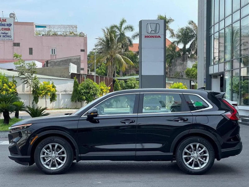 honda crv 7 chỗ