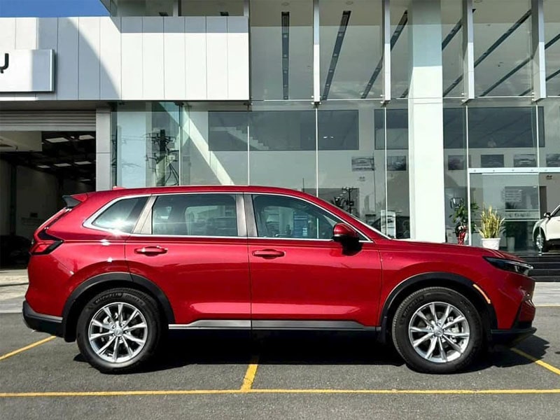 crv 7 chỗ
