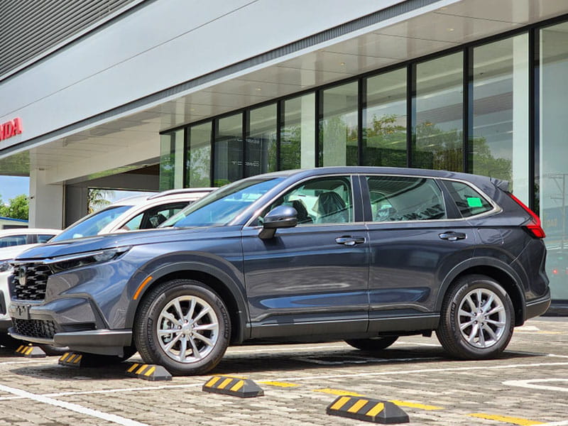 honda crv 7 chỗ