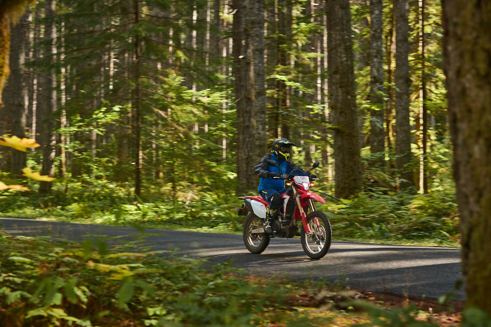 2019 Honda CRF450L