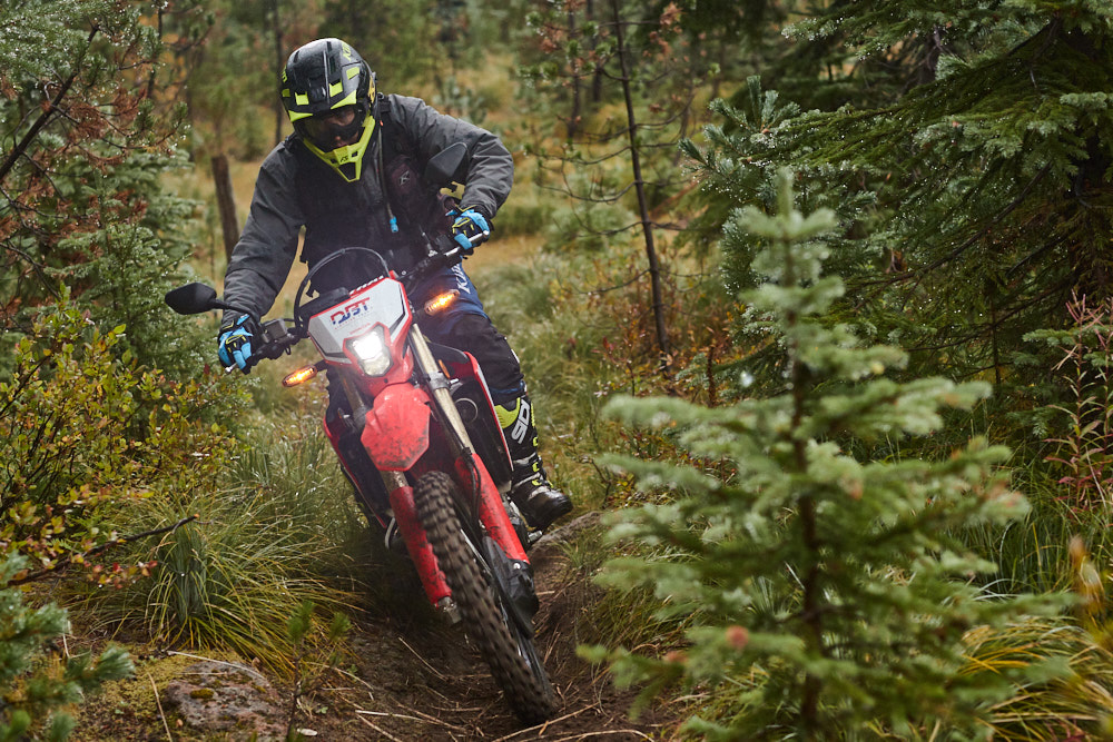 2019 Honda CRF450L
