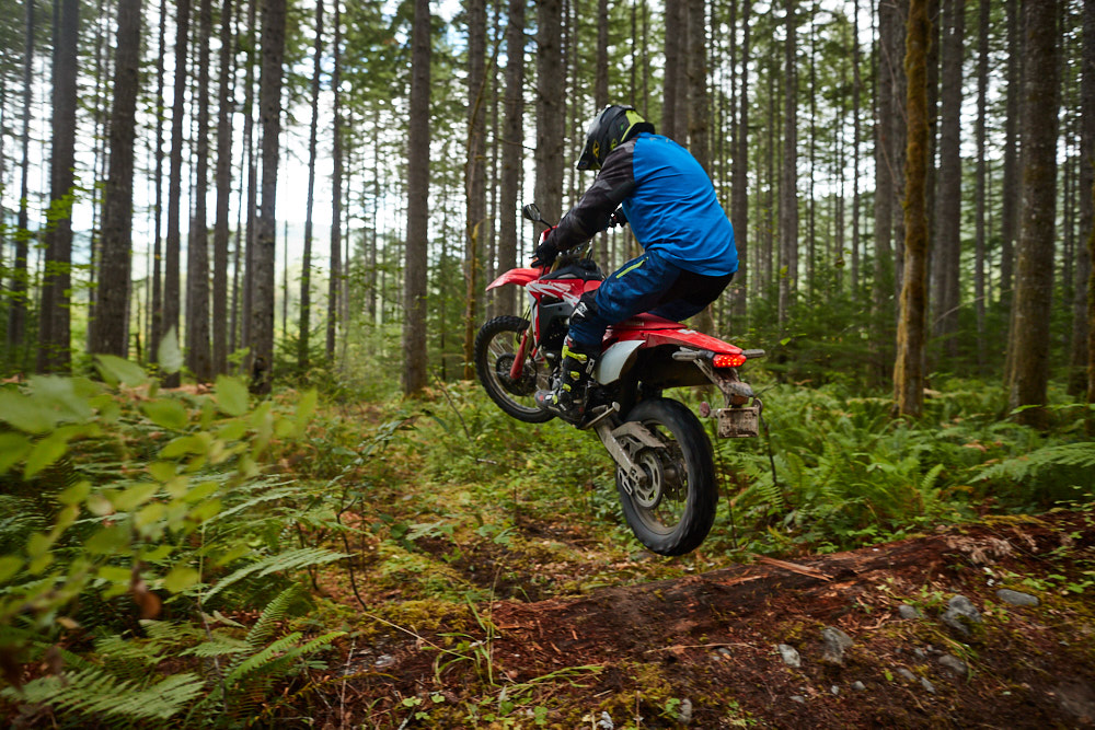 2019 Honda CRF450L