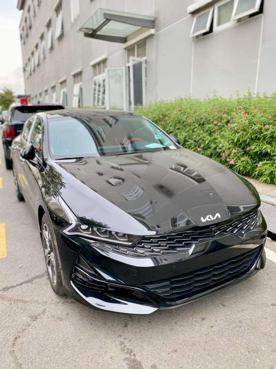 kia k5 xanh du3