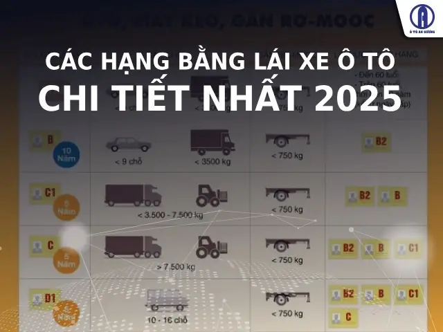 Lái Xe Cho Sếp Nhà Quận 9 New