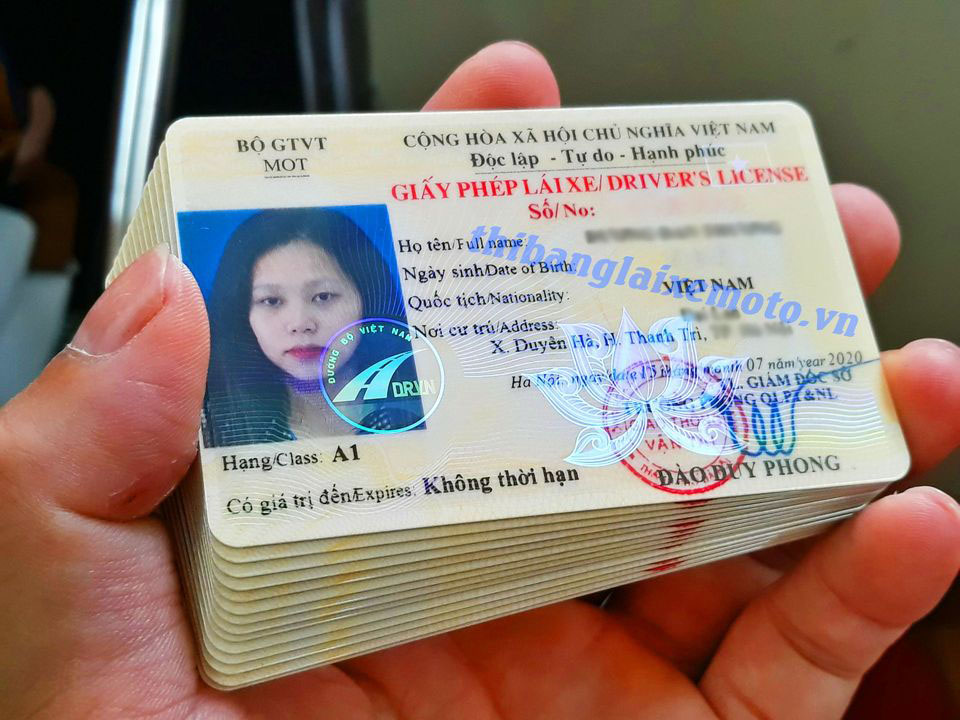 mua bằng lái xe