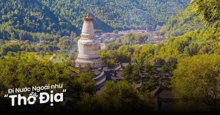 Lịch Trình Nhà Xe Mai Nhâm Nga Sơn