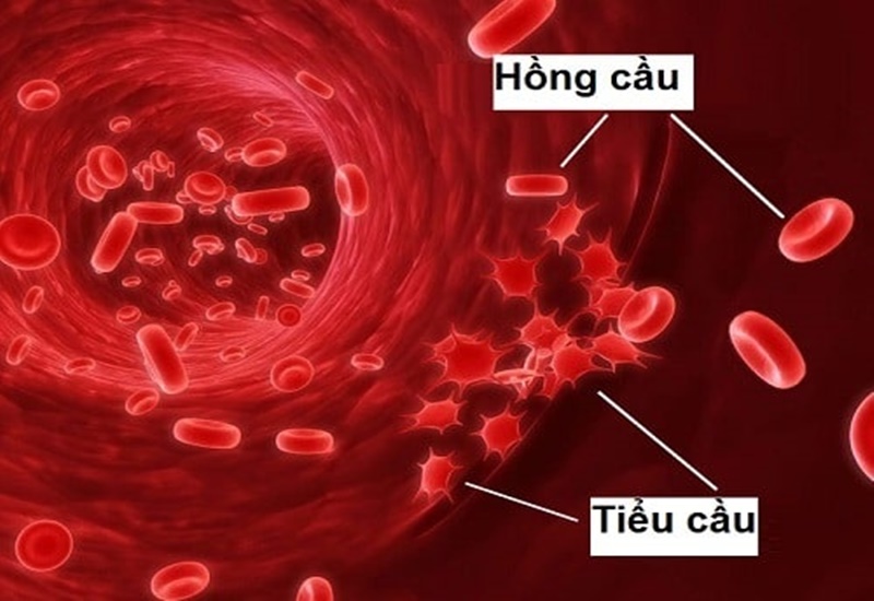 Tin tức
