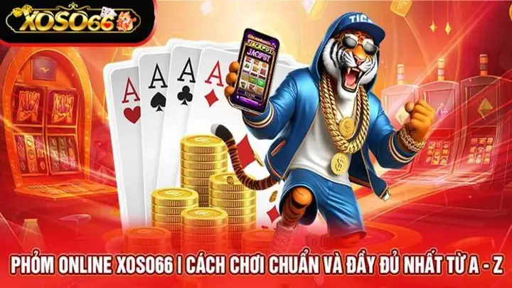 Nhà Xe Anh Thắng Nho Quan Móng Cái