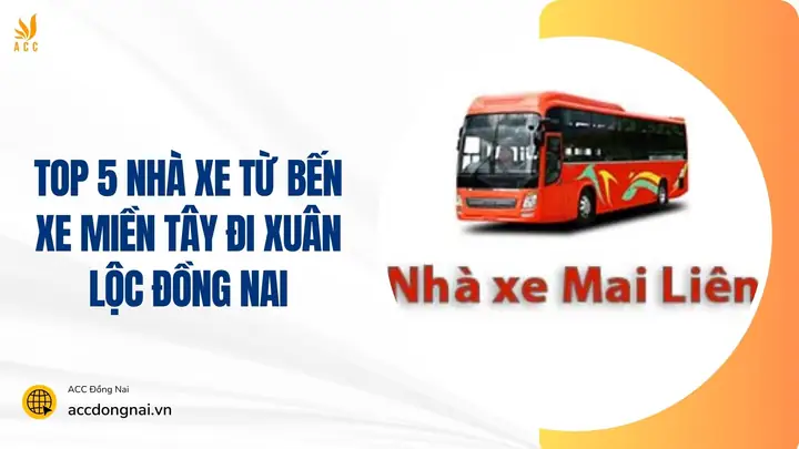 Nhà Xe Hoa Mai Đi Đồng Nai