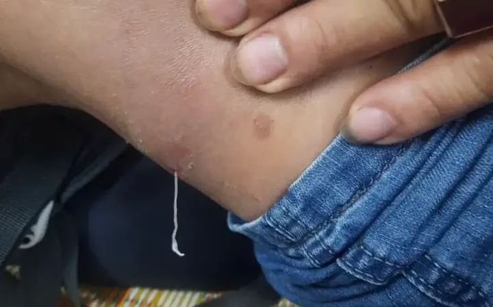 Nhà Xe Rồng Việt Đà Nẵng Lào Cai