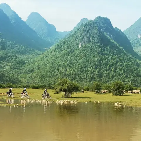 Nhà Xe Tùng Mai Thông Nông Cao Bằng