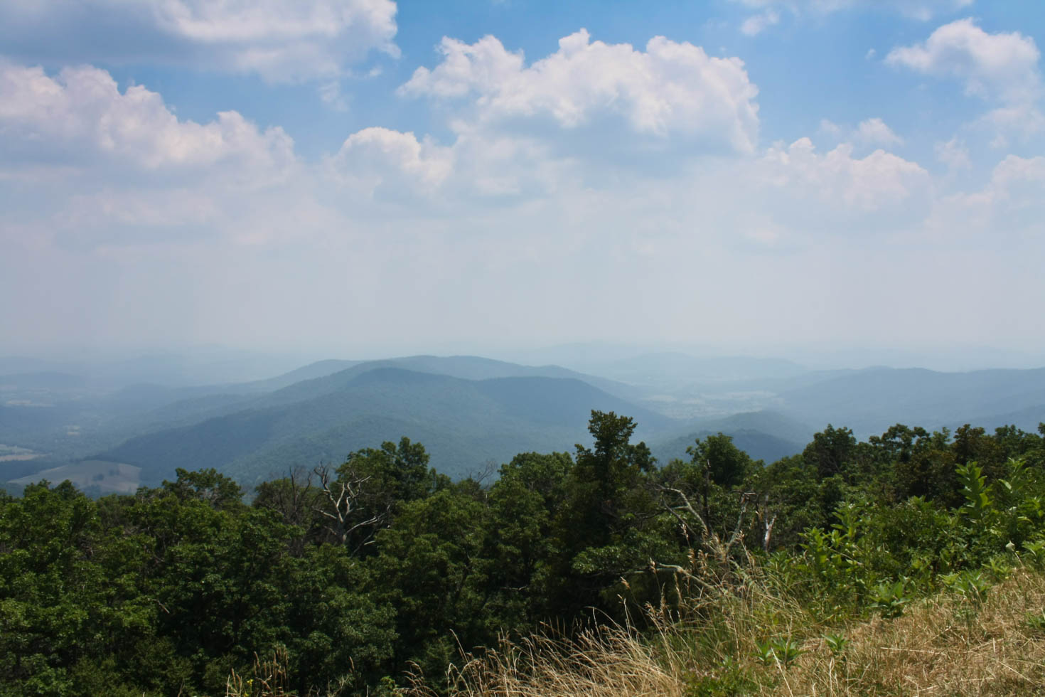 Shenandoah National Park, Blue Ridge Mountains, Virginia #vezzaniphotography