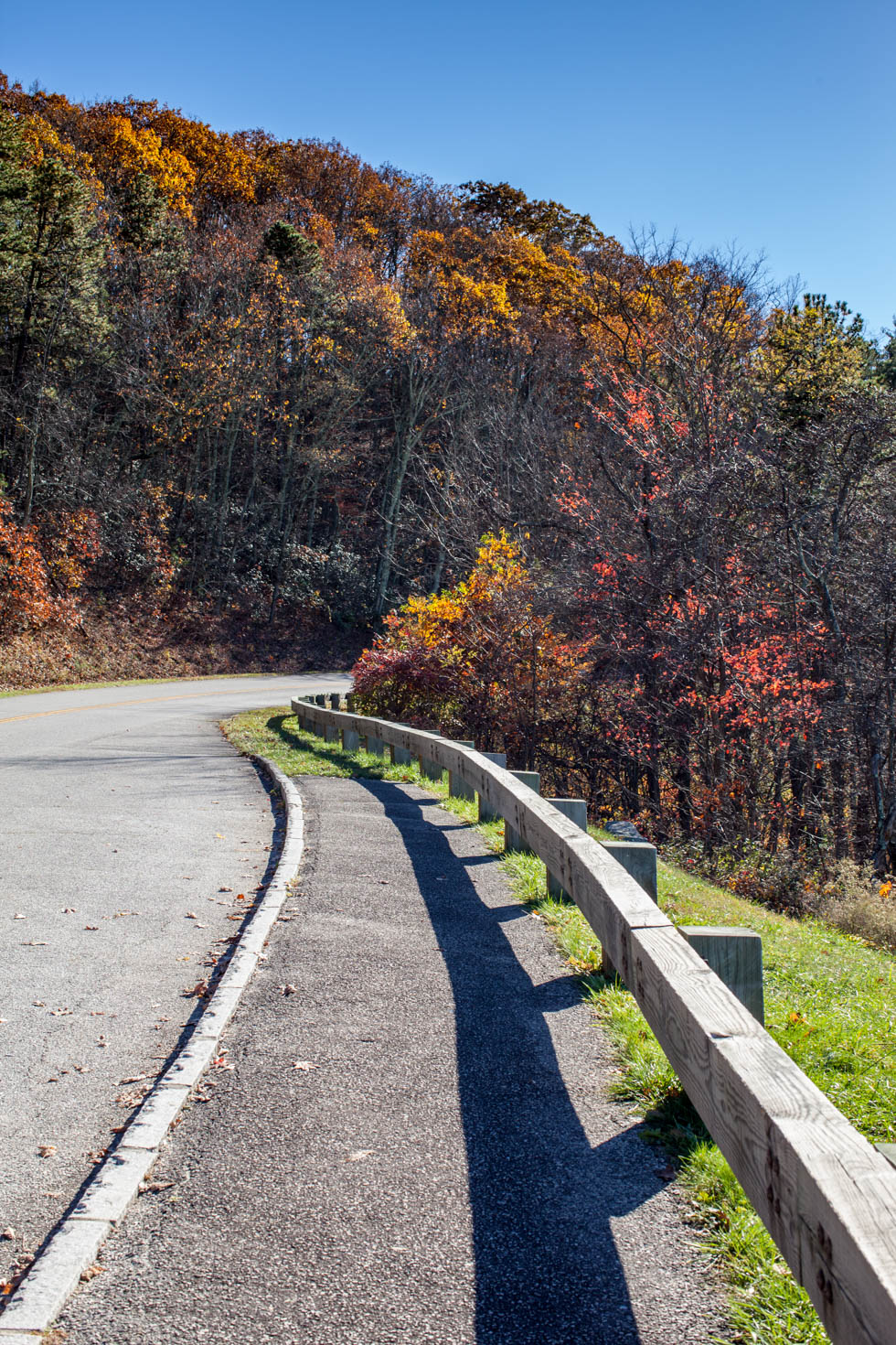 Skyline Drive, Shenandoah National Park, Blue Ridge Mountains, Virginia #vezzaniphotography