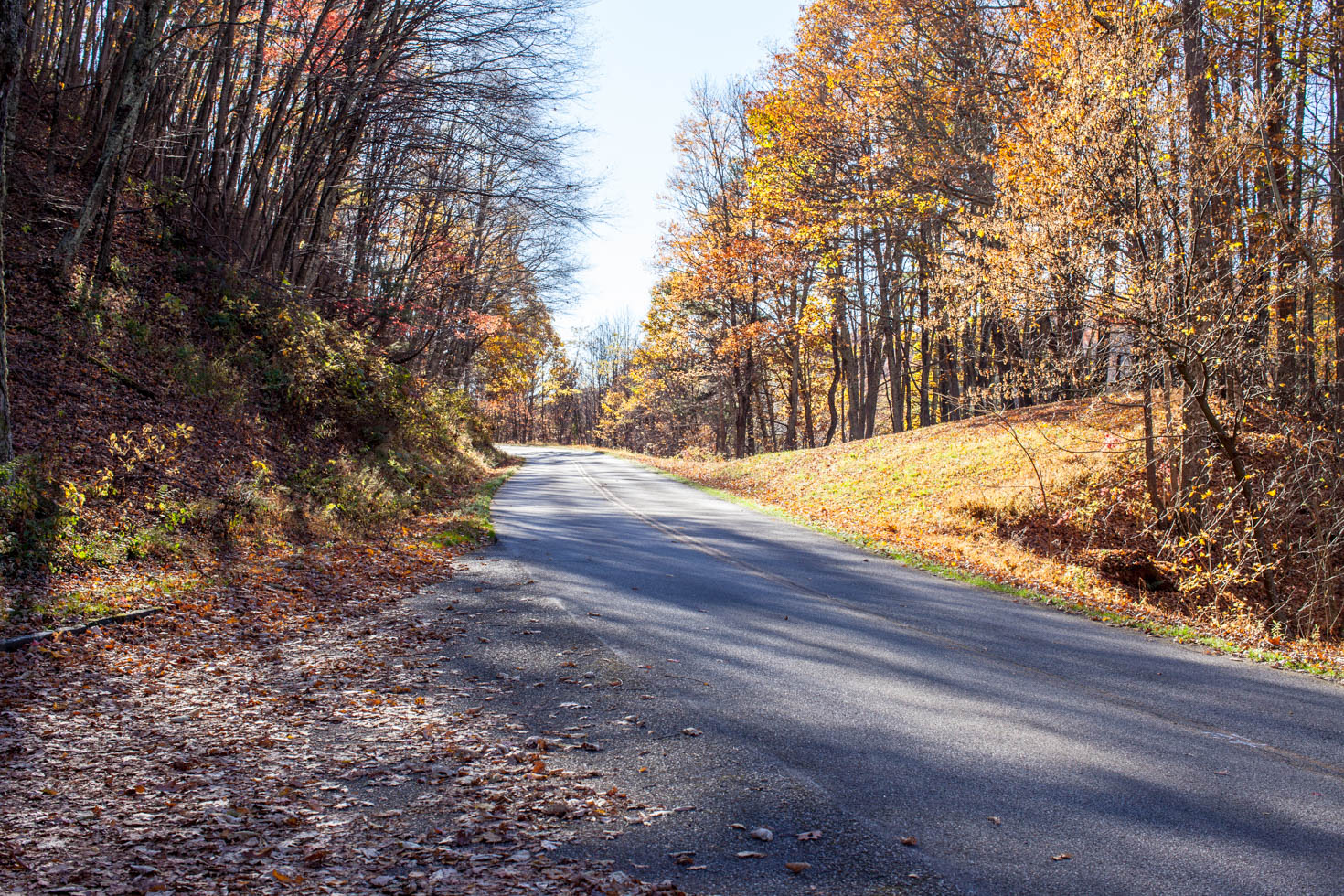 Skyline Drive, Shenandoah National Park, Blue Ridge Mountains, Virginia #vezzaniphotography