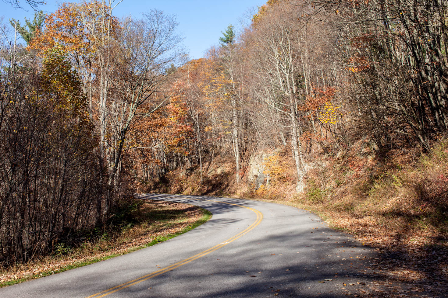 Skyline Drive, Shenandoah National Park, Blue Ridge Mountains, Virginia #vezzaniphotography