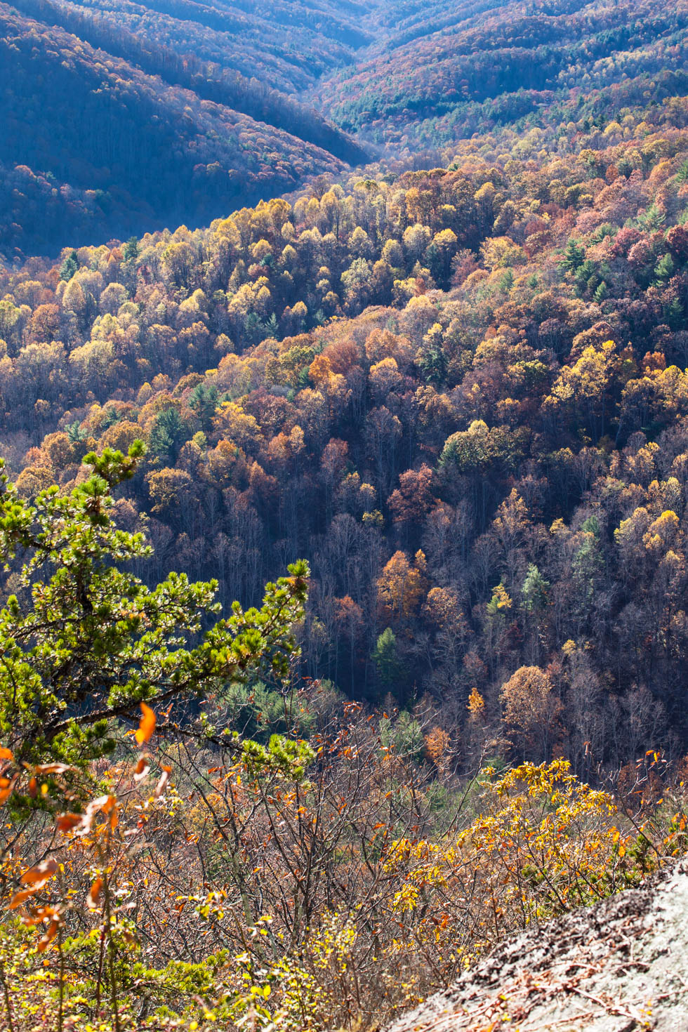 Skyline Drive, Shenandoah National Park, Blue Ridge Mountains, Virginia #vezzaniphotography