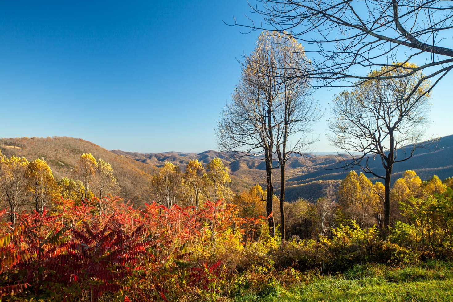 Skyline Drive, Shenandoah National Park, Blue Ridge Mountains, Virginia #vezzaniphotography