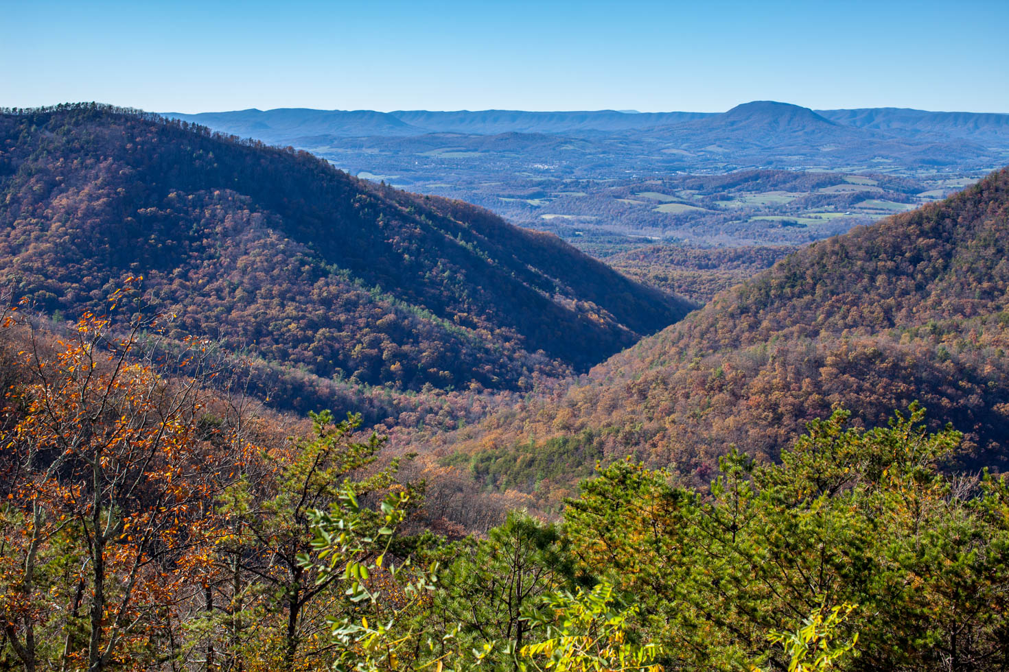 Skyline Drive, Shenandoah National Park, Blue Ridge Mountains, Virginia #vezzaniphotography