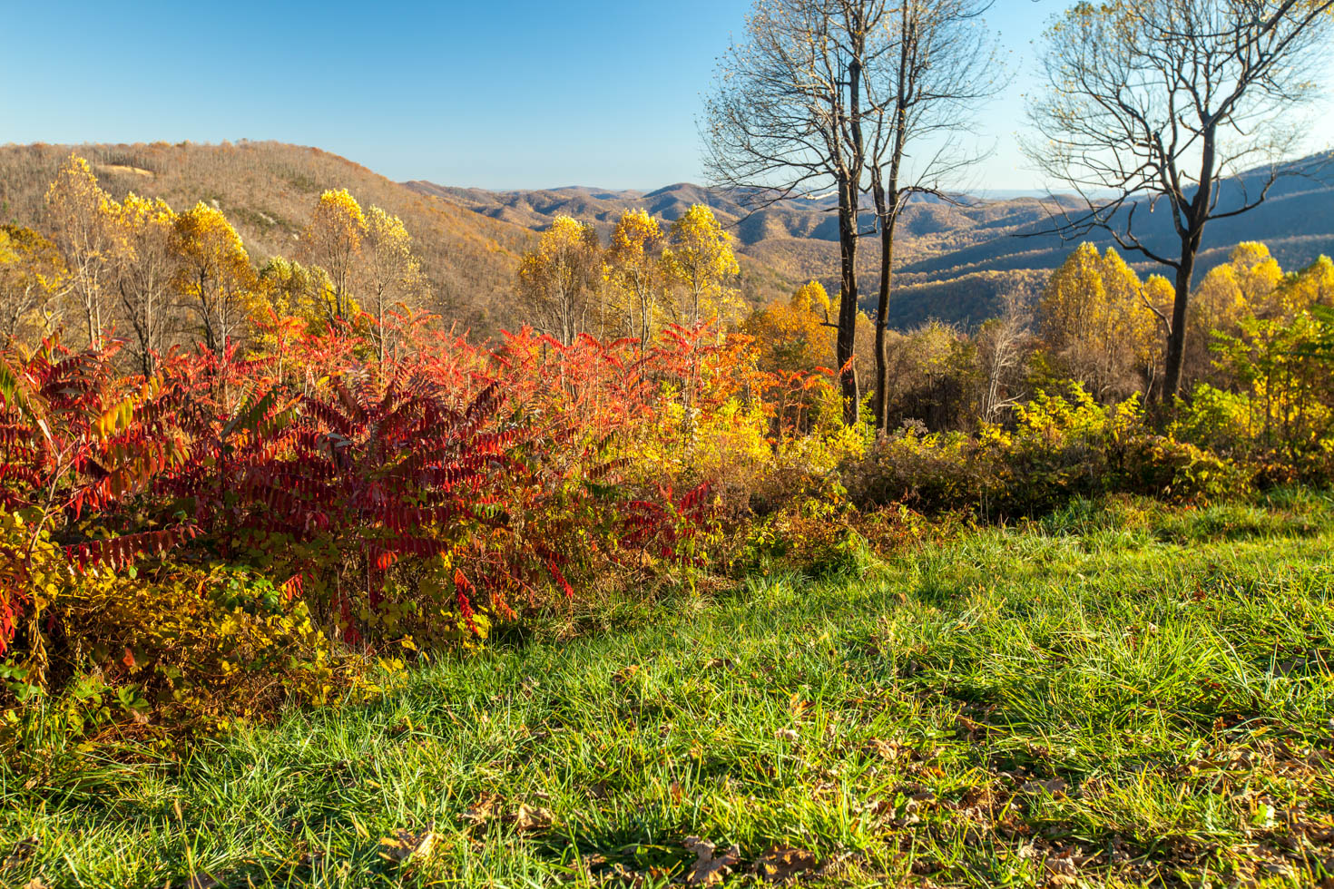 Skyline Drive, Shenandoah National Park, Blue Ridge Mountains, Virginia #vezzaniphotography