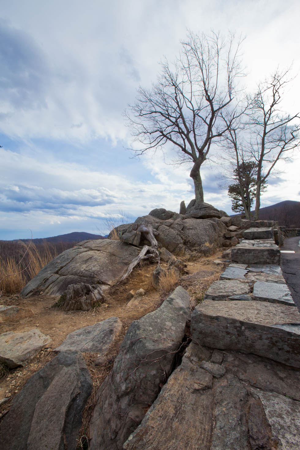 Skyline Drive, Shenandoah National Park, Blue Ridge Mountains, Virginia #vezzaniphotography