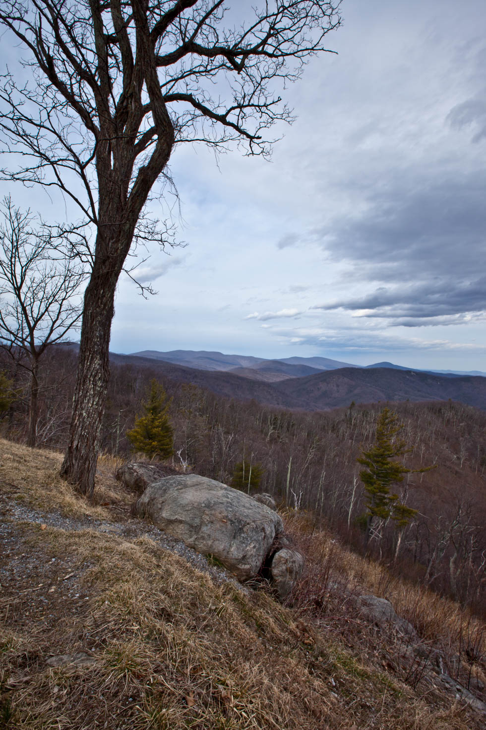 Skyline Drive, Shenandoah National Park, Blue Ridge Mountains, Virginia #vezzaniphotography