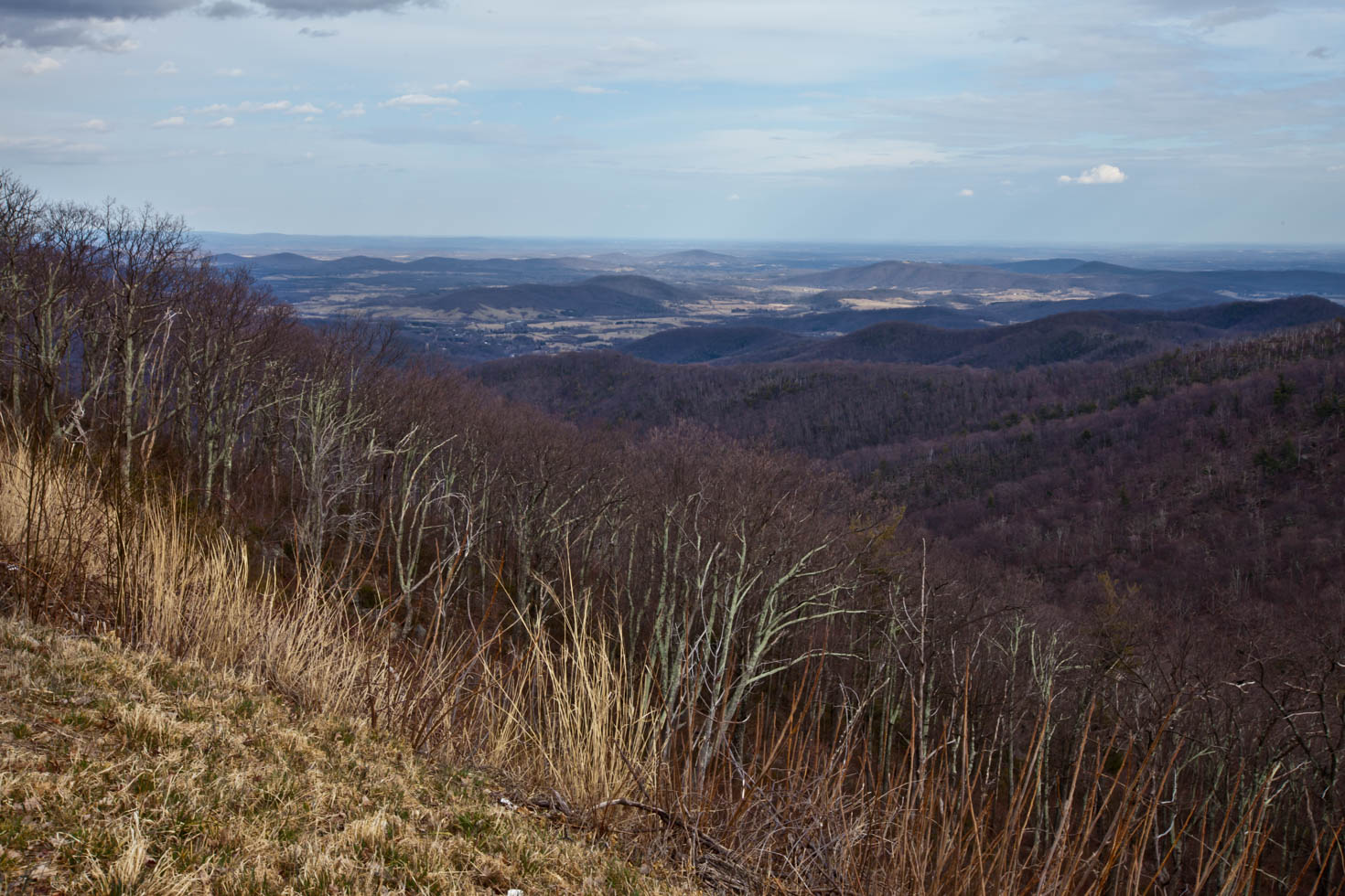 Skyline Drive, Shenandoah National Park, Blue Ridge Mountains, Virginia #vezzaniphotography