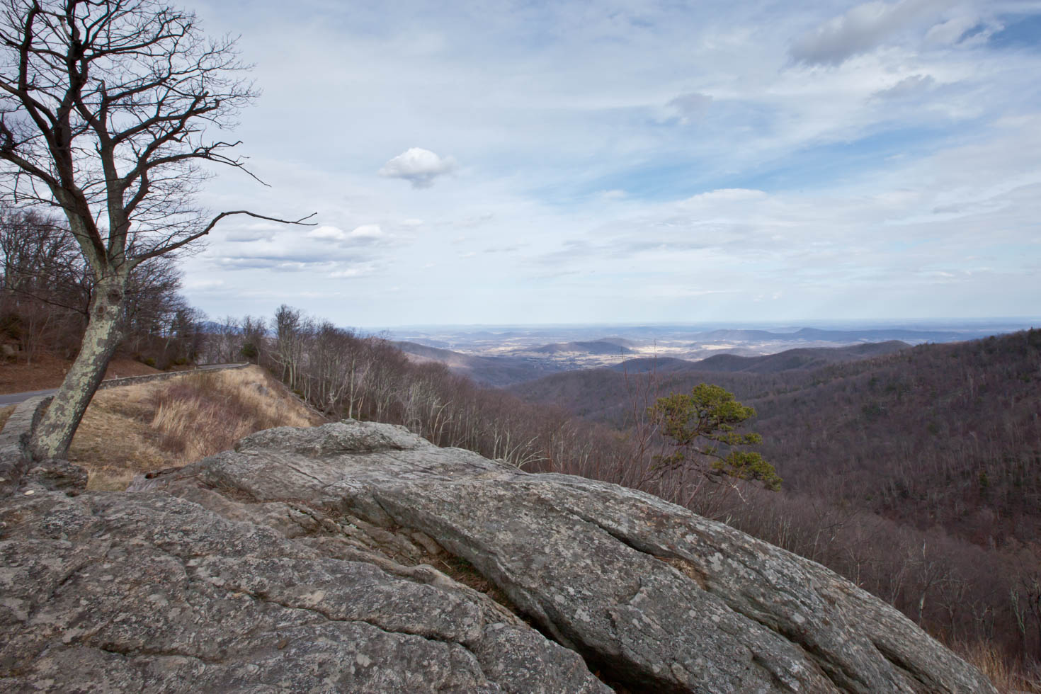 Skyline Drive, Shenandoah National Park, Blue Ridge Mountains, Virginia #vezzaniphotography