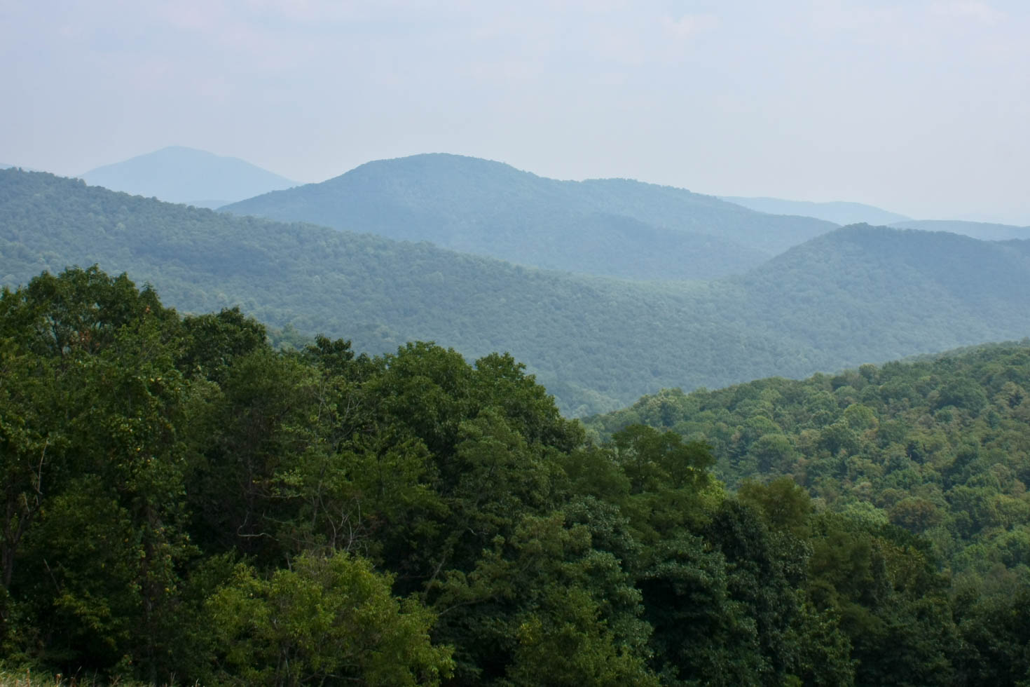 Shenandoah National Park, Blue Ridge Mountains, Virginia #vezzaniphotography