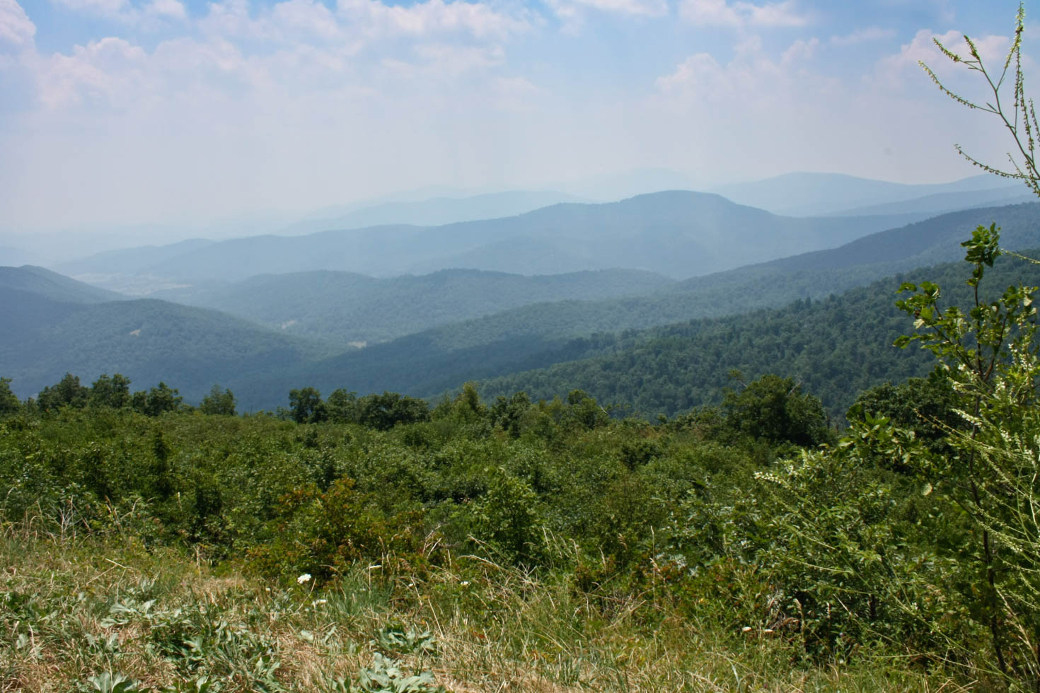 Shenandoah National Park, Blue Ridge Mountains, Virginia #vezzaniphotography