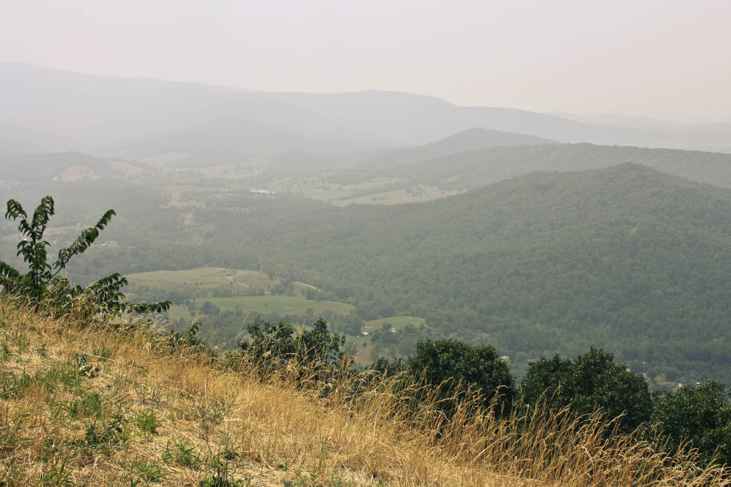 Shenandoah National Park, Blue Ridge Mountains, Virginia #vezzaniphotography