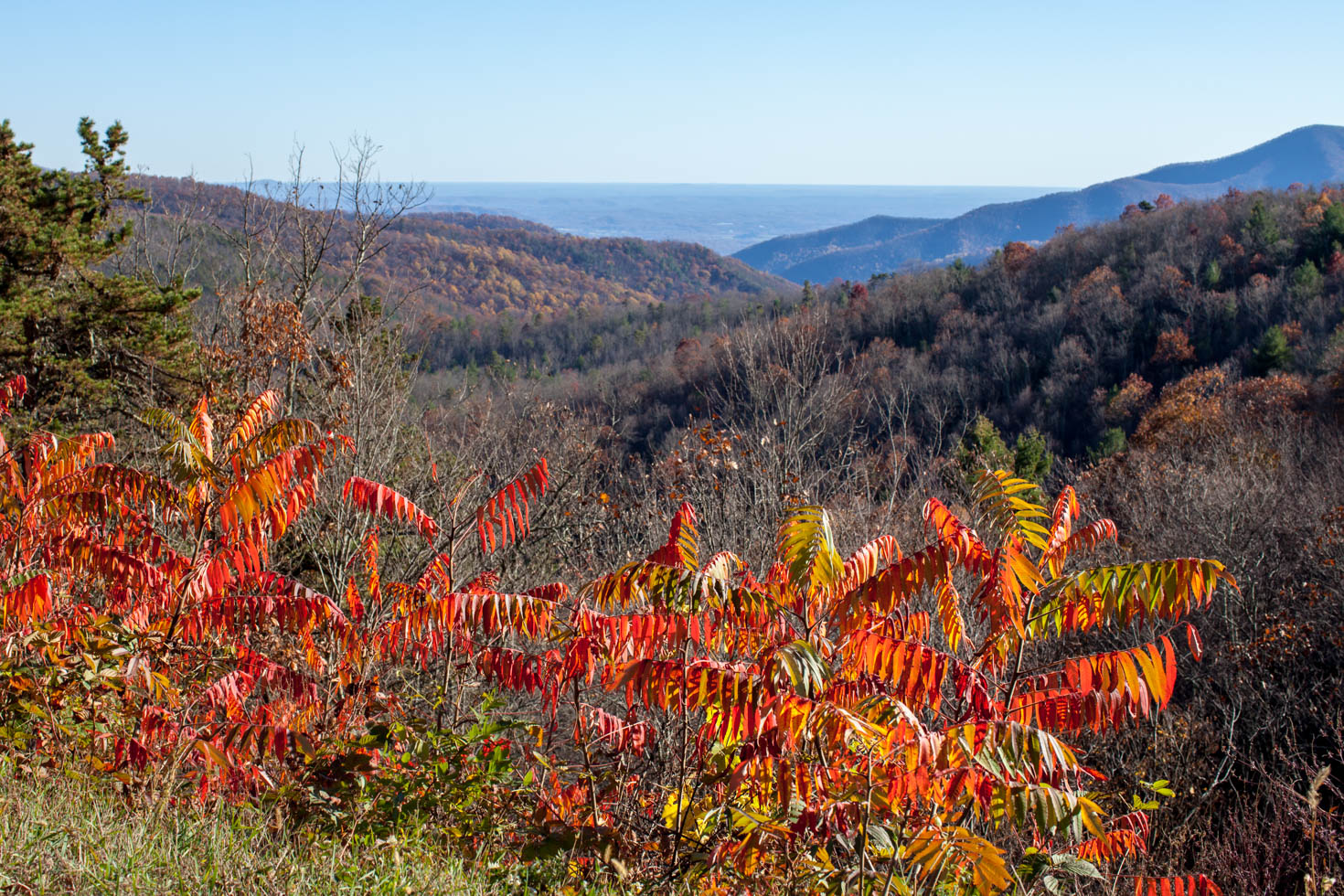 Shenandoah National Park, Blue Ridge Mountains, Virginia #vezzaniphotography