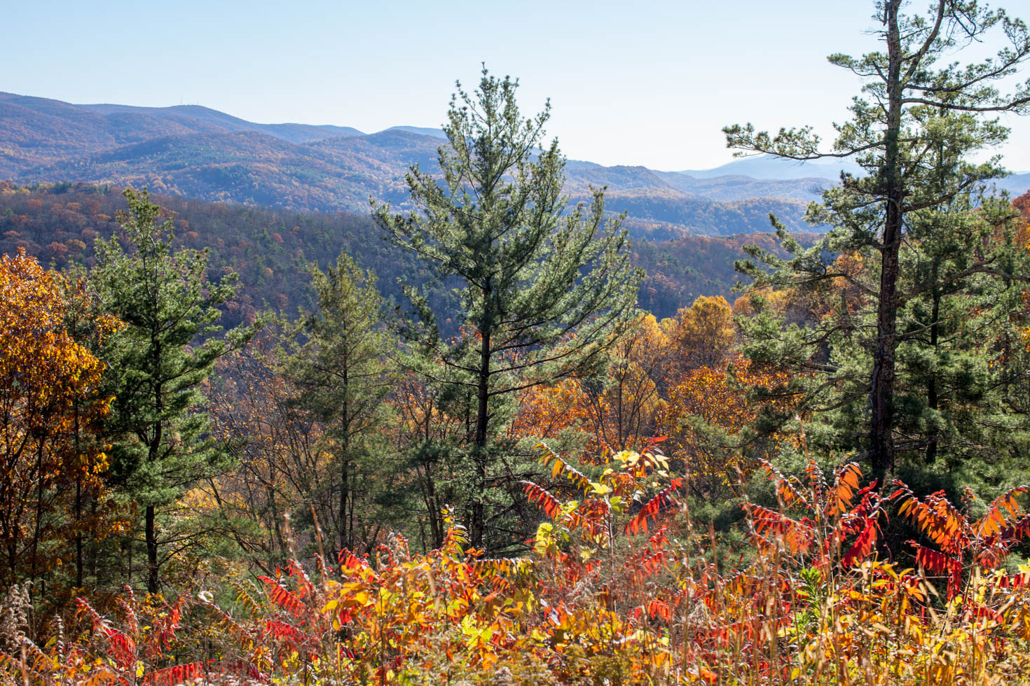 Small children can easily get in and out of the car to stretch their legs without excessive hiking involved.