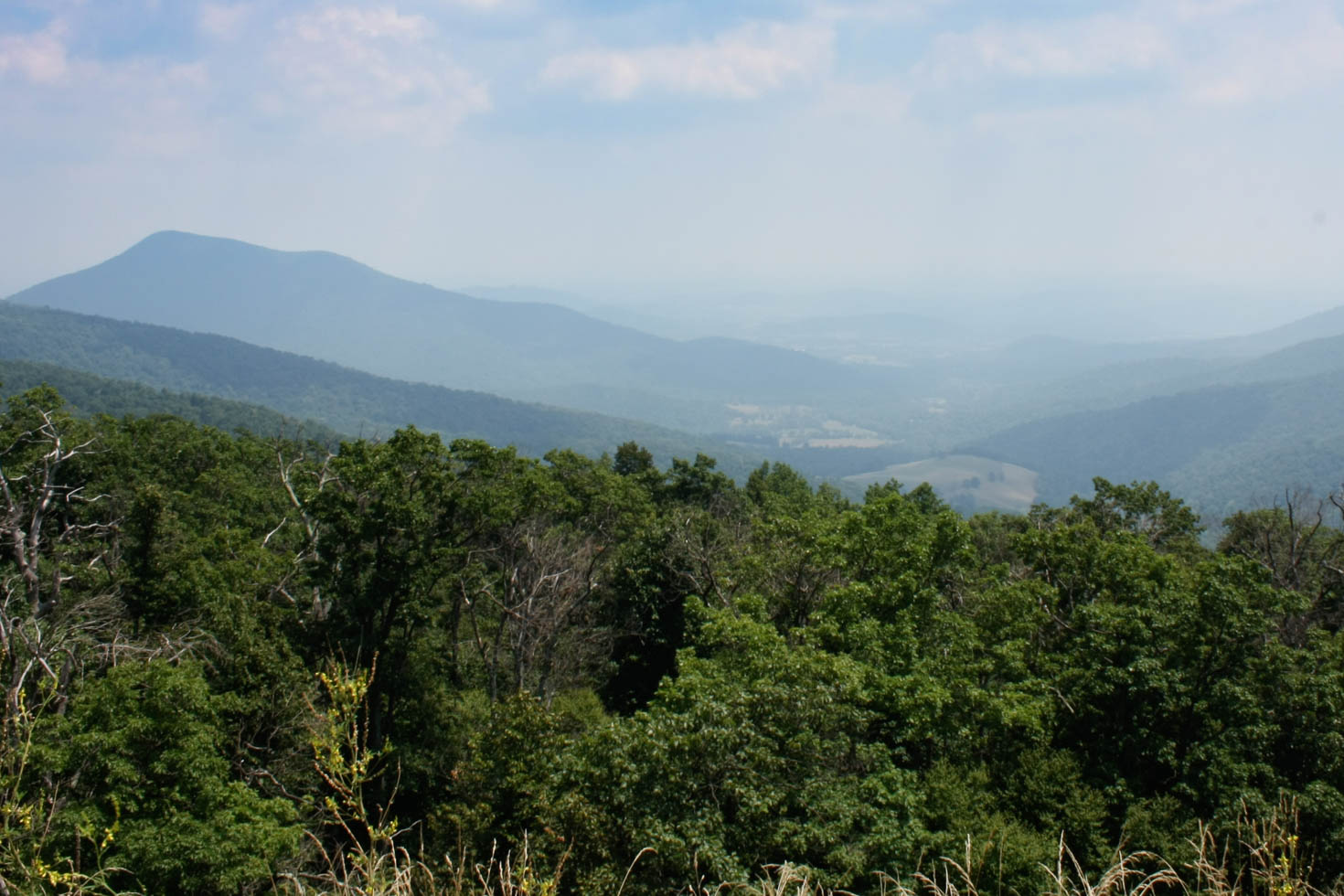 Take a drive down Sky Line Drive in Shenandoah National Park