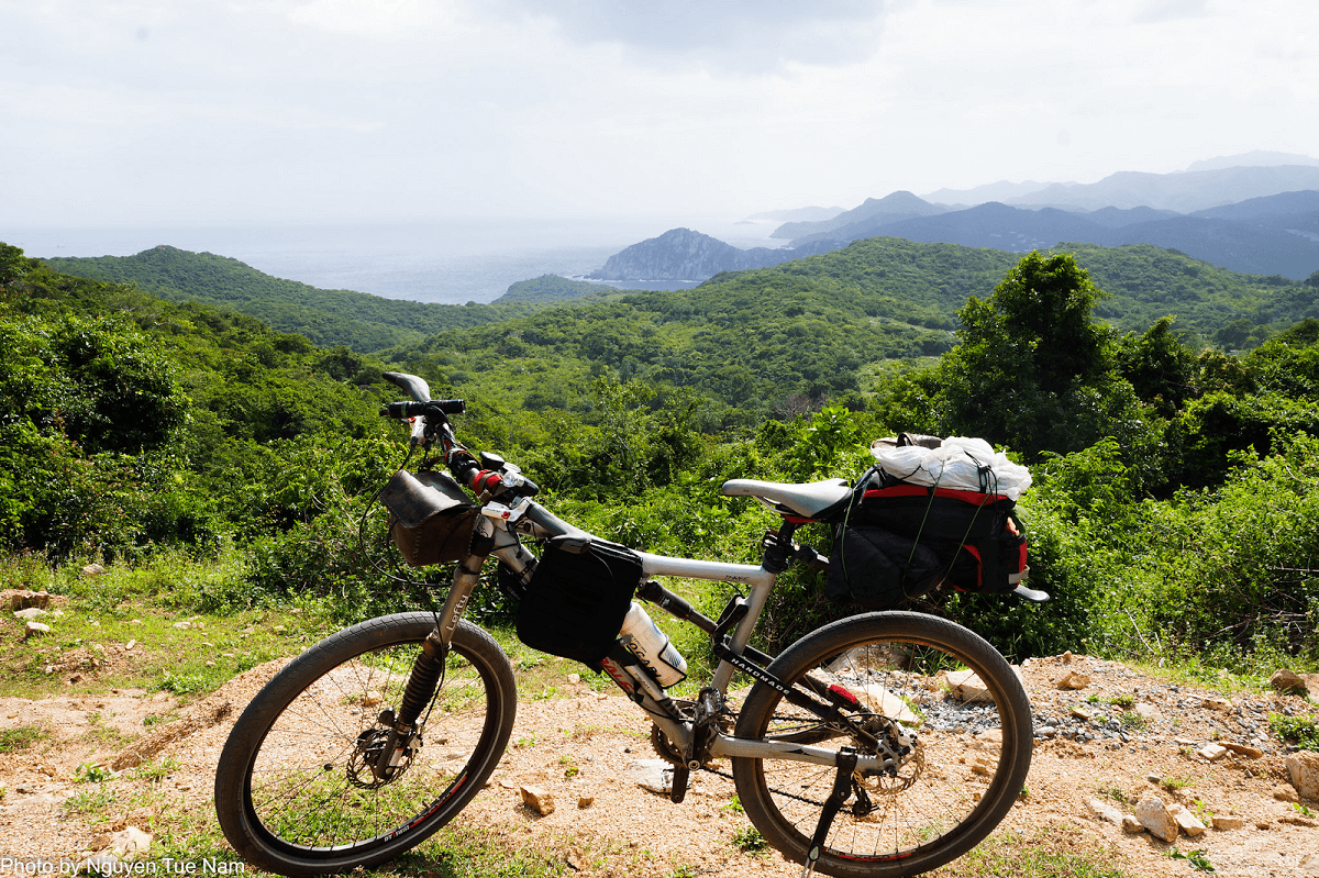 Xe đạp Touring là gì? Vì sao nên chọn xe đạp đường phố Touring