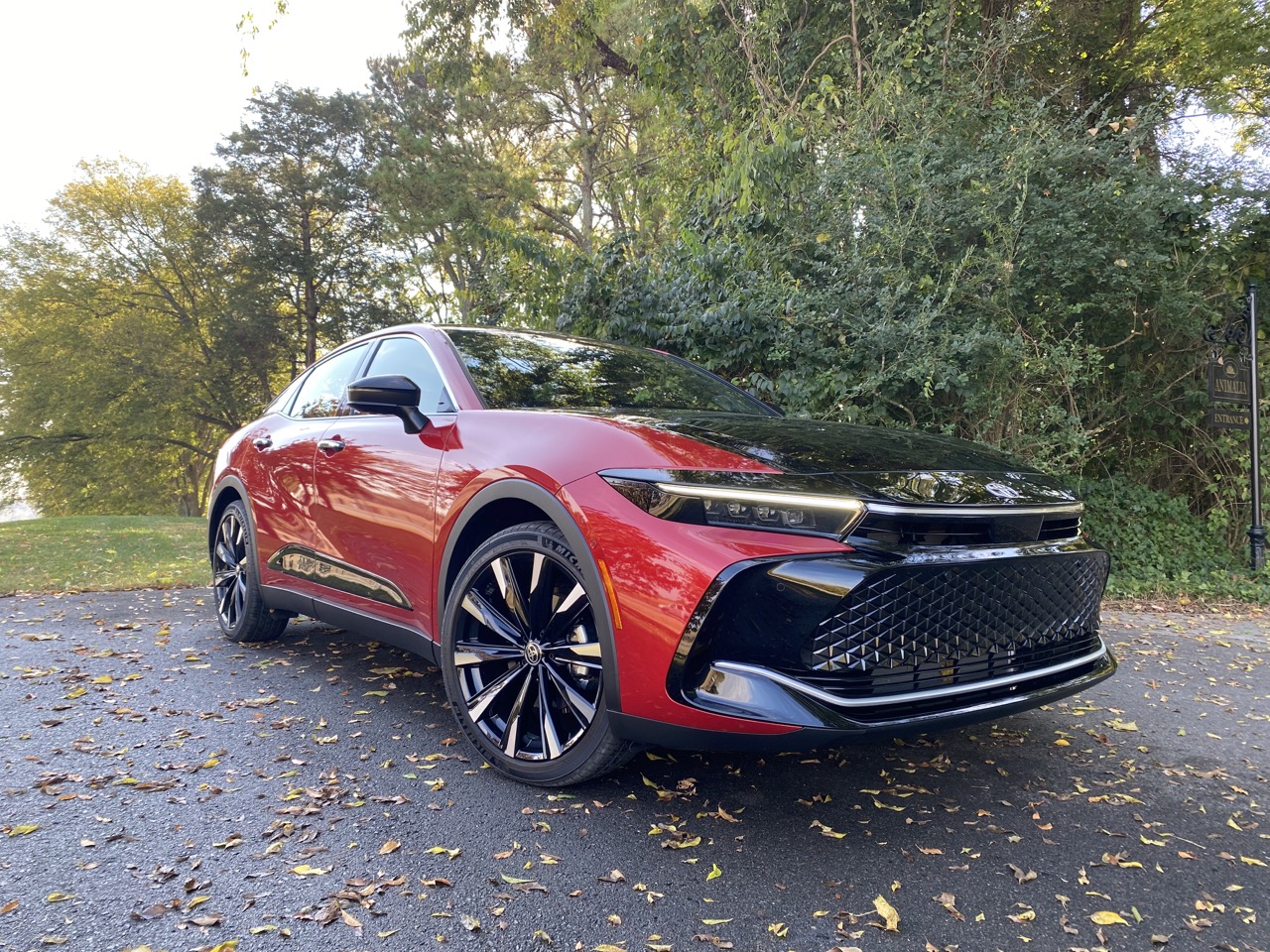 Img 3270 Large