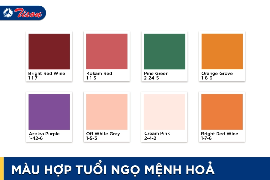 Màu hợp tuổi Ngọ mệnh Hỏa năm 2023