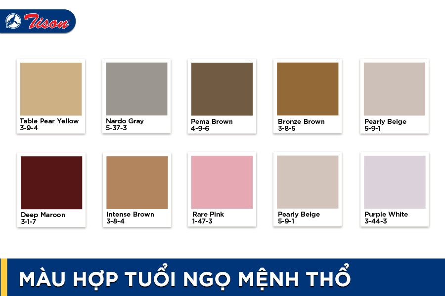 Màu hợp tuổi Ngọ mệnh Thổ năm 2023