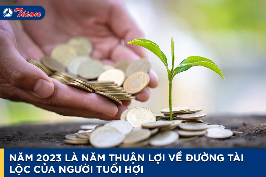 Tài lộc của người tuổi Hợi năm 2023