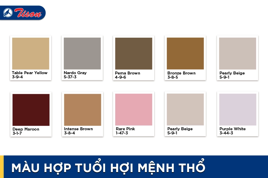 Màu hợp tuổi Hợi mệnh Thổ năm 2023