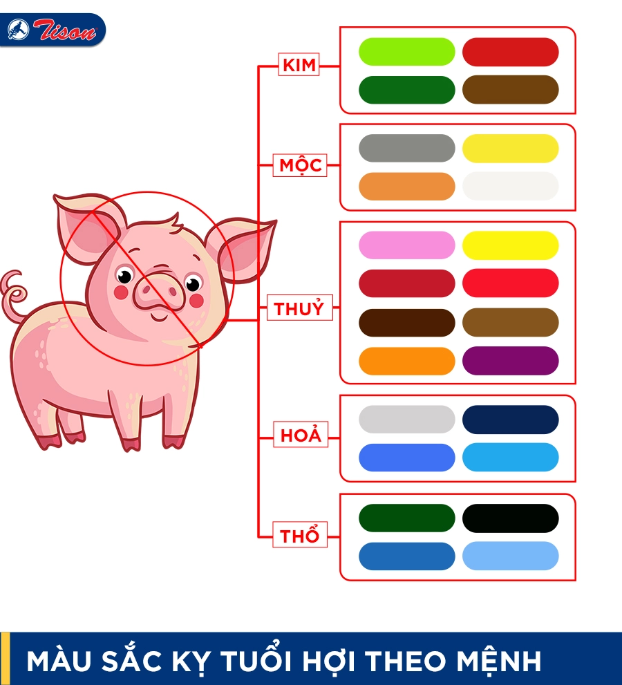 Màu kỵ tuổi Hợi theo mệnh năm 2023